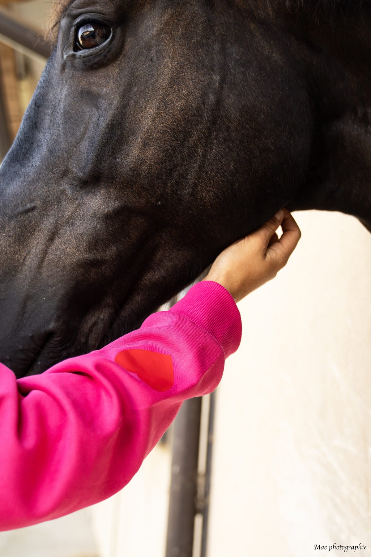 Sweat oversize LOLA – Poney Paillettes Love – Rose & rouge