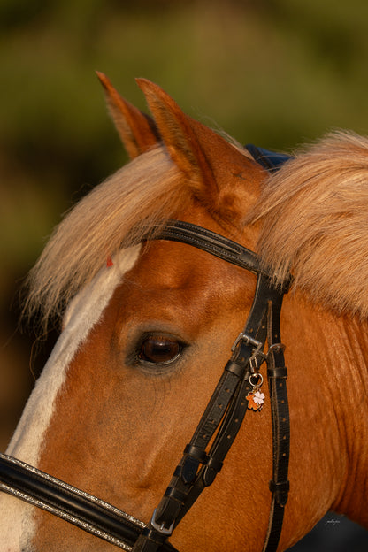 Breloque de filet licol Cheval Cœur rose Trèfle | Equislay