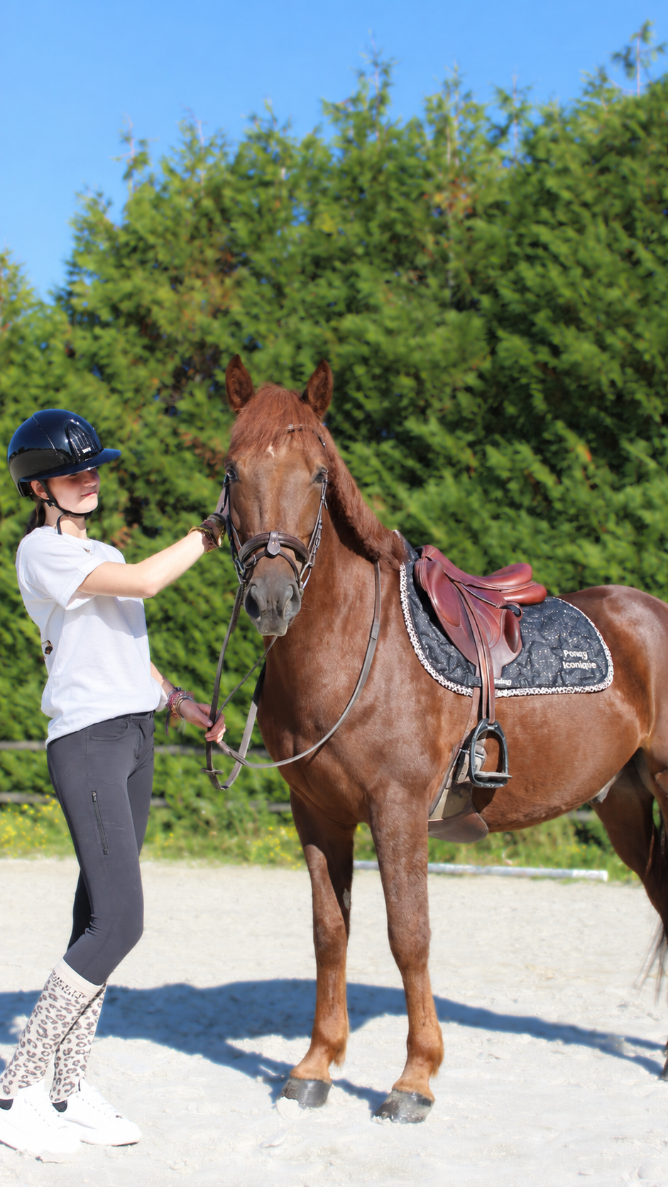 Tapis de selle CSO IBIZA – Poney Iconique