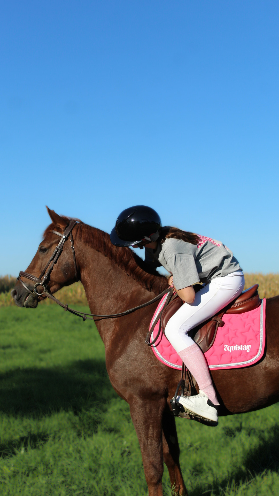 Tapis de selle CSO SKY – Rose fuchsia