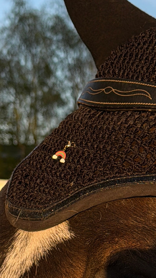 Charm arc - en - ciel doré - Equislay