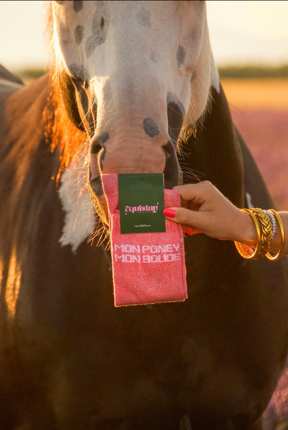 Chaussettes Mon Poney Mon Bolide – Corail - Equislay