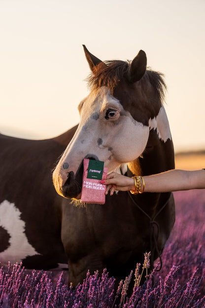 Chaussettes Mon Poney Mon Bolide – Corail - Equislay