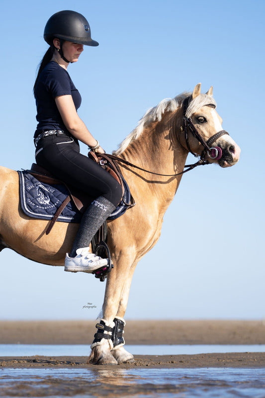 CHAUSSETTES PONEY DE STAR - NOIR - Equislay