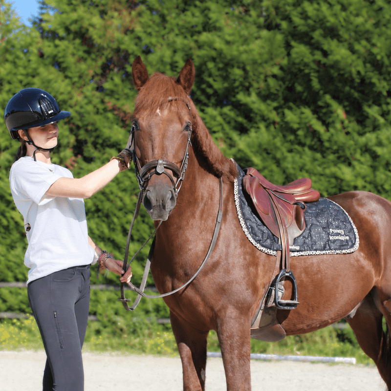 Tapis de selle CSO IBIZA – Poney Iconique - Equislay